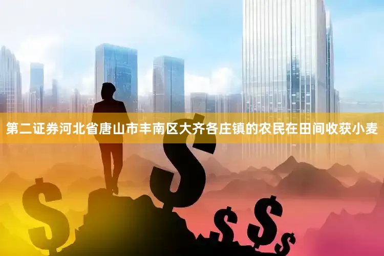 第二证券河北省唐山市丰南区大齐各庄镇的农民在田间收获小麦