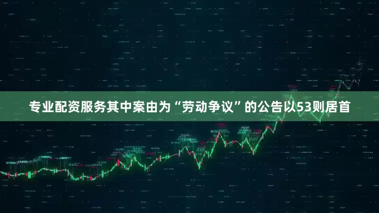 专业配资服务其中案由为“劳动争议”的公告以53则居首