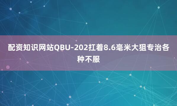 配资知识网站QBU-202扛着8.6毫米大狙专治各种不服