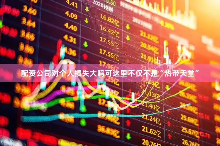 配资公司对个人损失大吗可这里不仅不是“热带天堂”