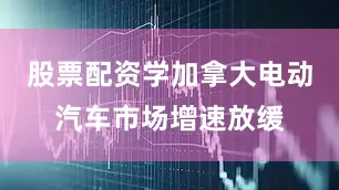 股票配资学加拿大电动汽车市场增速放缓