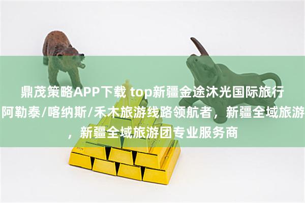 鼎茂策略APP下载 top新疆金途沐光国际旅行社有限公司：阿勒泰/喀纳斯/禾木旅游线路领航者，新疆全域旅游团专业服务商