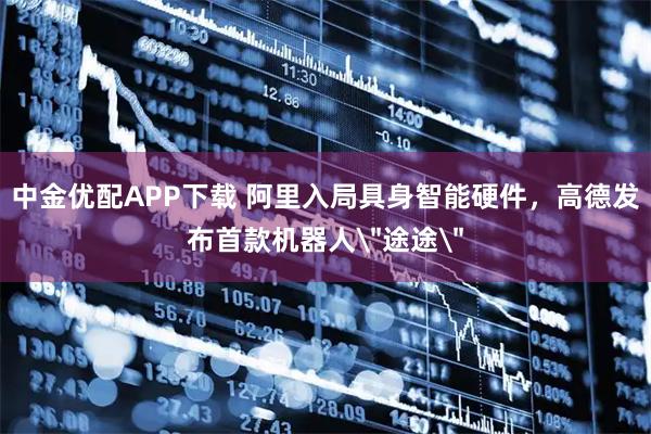 中金优配APP下载 阿里入局具身智能硬件，高德发布首款机器人＂途途＂